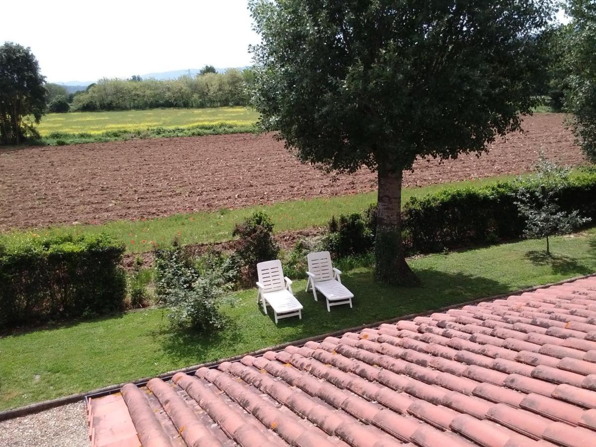 Agriturismo La Ripa Reggello Exterior photo